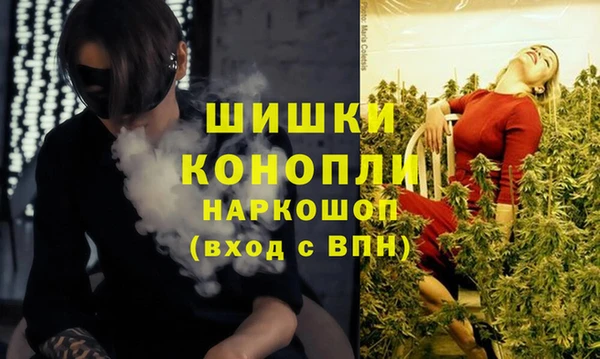 spice Протвино