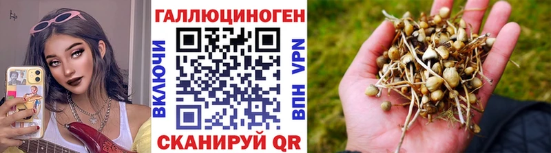 Псилоцибиновые грибы Magic Shrooms  где продают наркотики  Суздаль 